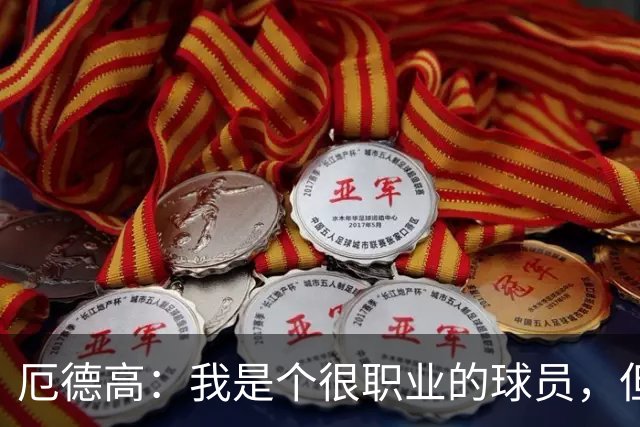 厄德高：我是个很职业的球员，但有时受伤就是运气不好