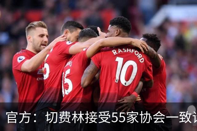 官方：切费林接受55家协会一致请求，寻求连任欧足联主席