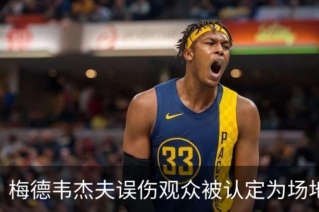 梅德韦杰夫误伤观众被认定为场地内鲁莽击球，因此直接判负